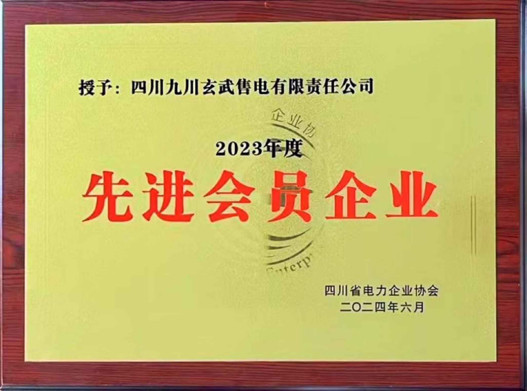 2023年度电力企业协会先进会员企业